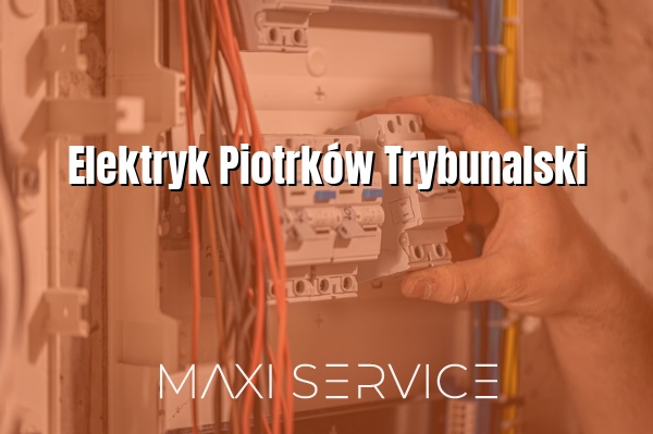 Elektryk Piotrków Trybunalski - Maxi Service