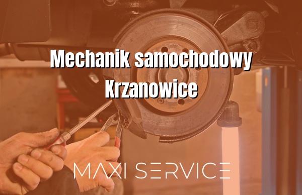 Mechanik samochodowy Krzanowice - Maxi Service