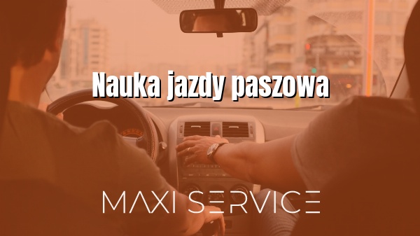 Nauka jazdy paszowa - Maxi Service