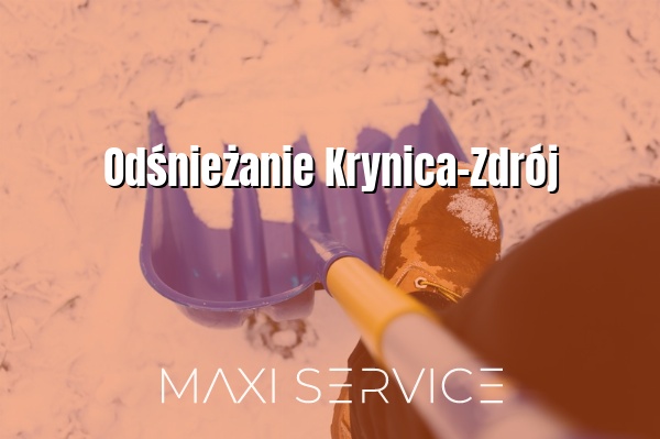 Odśnieżanie Krynica-Zdrój - Maxi Service