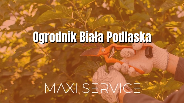 Ogrodnik Biała Podlaska - Maxi Service