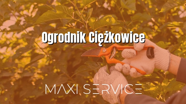 Ogrodnik Ciężkowice - Maxi Service