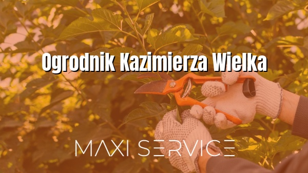 Ogrodnik Kazimierza Wielka - Maxi Service