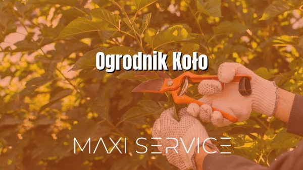 Ogrodnik Koło - Maxi Service