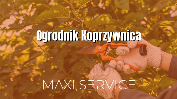 Ogrodnik Koprzywnica - Maxi Service