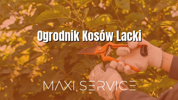 Ogrodnik Kosów Lacki - Maxi Service