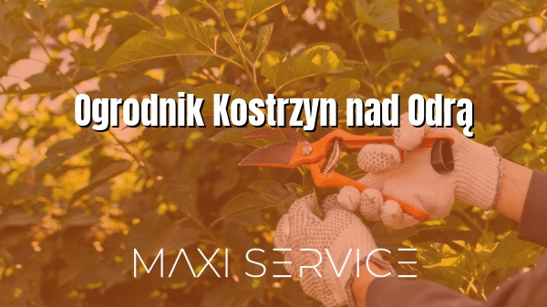 Ogrodnik Kostrzyn nad Odrą - Maxi Service