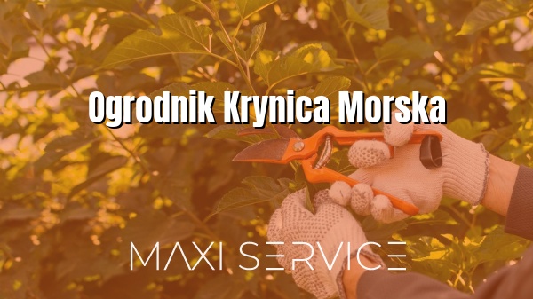 Ogrodnik Krynica Morska - Maxi Service