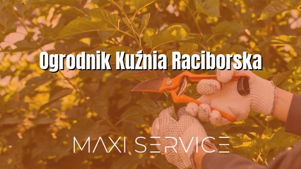 Ogrodnik Kuźnia Raciborska - Maxi Service