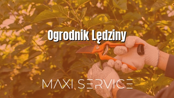 Ogrodnik Lędziny - Maxi Service