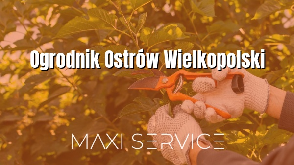 Ogrodnik Ostrów Wielkopolski - Maxi Service