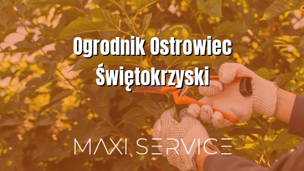 Ogrodnik Ostrowiec Świętokrzyski - Maxi Service