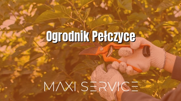 Ogrodnik Pełczyce - Maxi Service