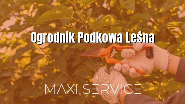 Ogrodnik Podkowa Leśna - Maxi Service