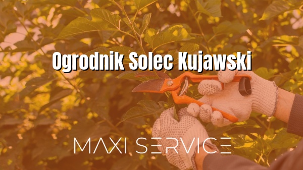 Ogrodnik Solec Kujawski - Maxi Service