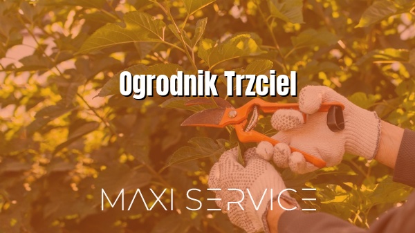 Ogrodnik Trzciel - Maxi Service