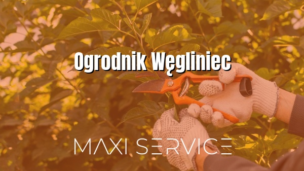 Ogrodnik Węgliniec - Maxi Service