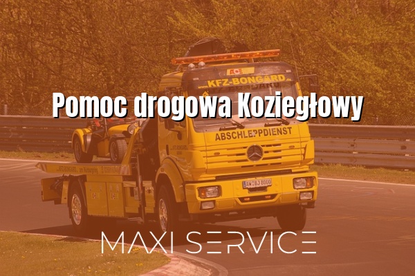 Pomoc drogowa Koziegłowy - Maxi Service