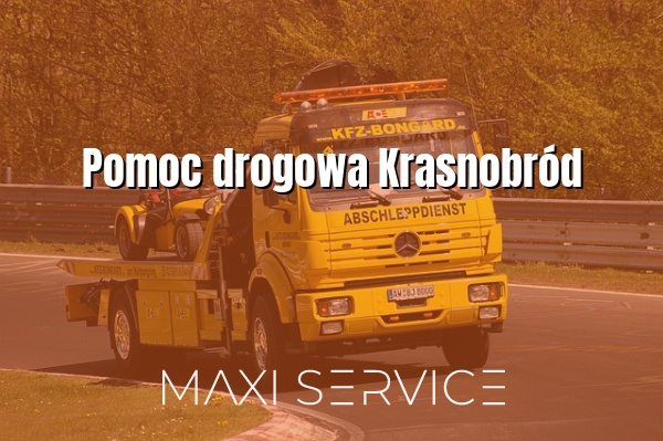 Pomoc drogowa Krasnobród - Maxi Service