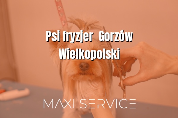 Psi fryzjer  Gorzów Wielkopolski - Maxi Service