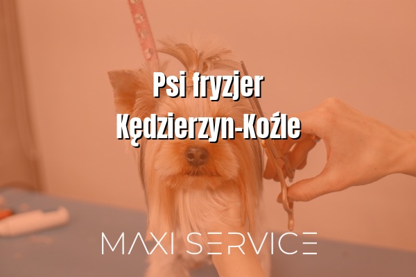 Psi fryzjer  Kędzierzyn-Koźle - Maxi Service