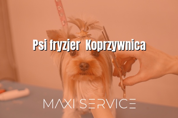 Psi fryzjer  Koprzywnica - Maxi Service