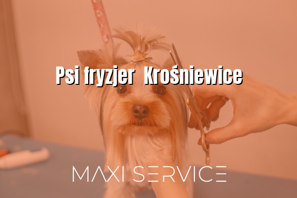 Psi fryzjer  Krośniewice - Maxi Service