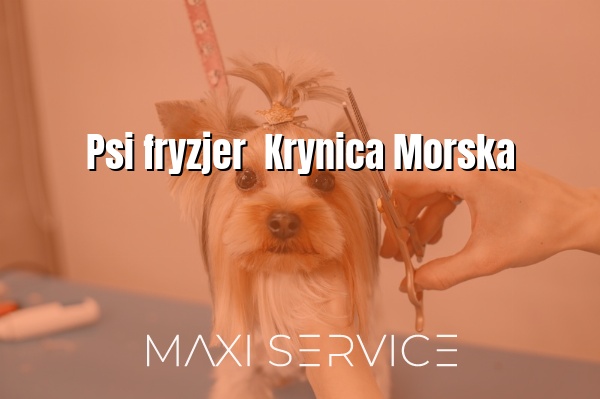 Psi fryzjer  Krynica Morska - Maxi Service