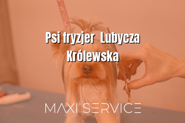 Psi fryzjer  Lubycza Królewska - Maxi Service