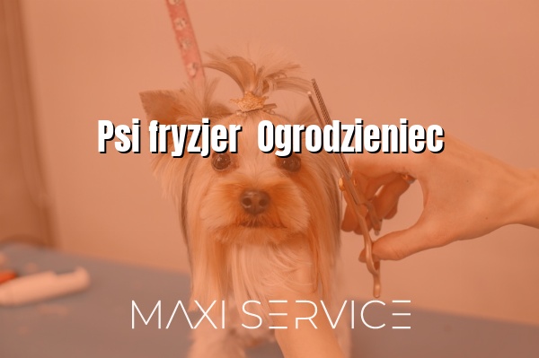 Psi fryzjer  Ogrodzieniec - Maxi Service