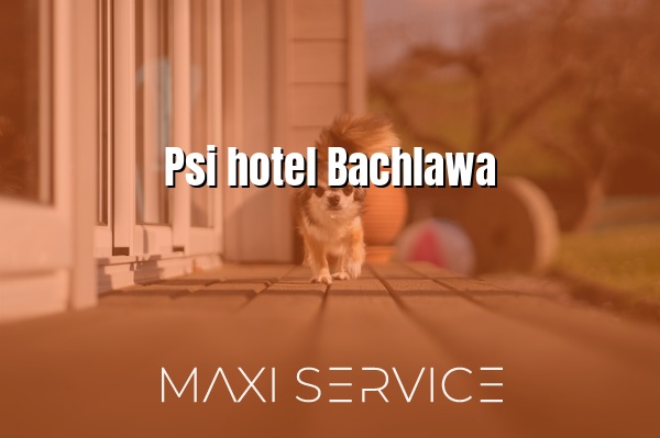 Psi hotel Bachlawa - Maxi Service