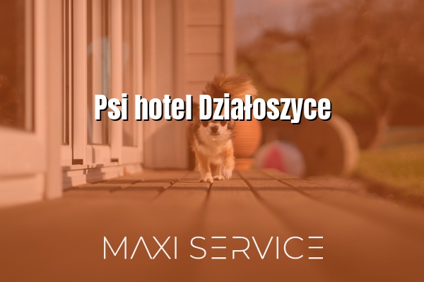Psi hotel Działoszyce - Maxi Service