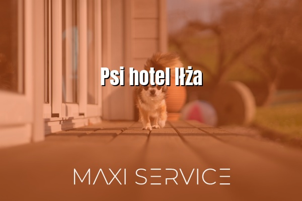 Psi hotel Iłża - Maxi Service