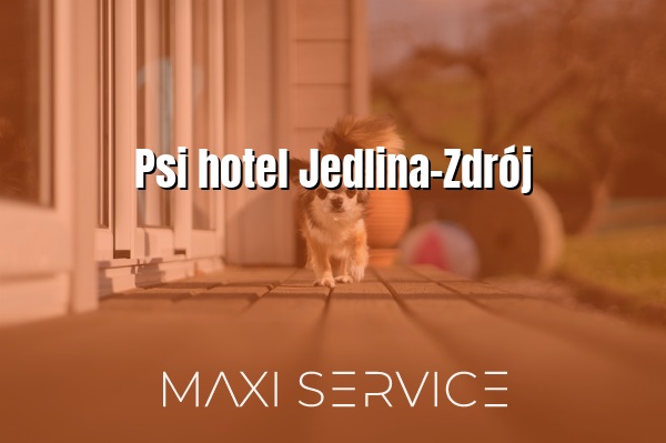Psi hotel Jedlina-Zdrój - Maxi Service