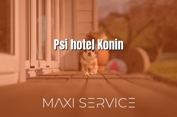 Psi hotel Konin - Maxi Service