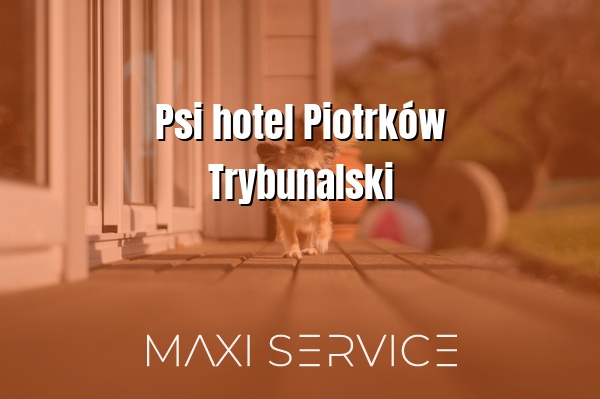 Psi hotel Piotrków Trybunalski - Maxi Service