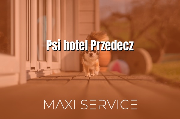 Psi hotel Przedecz - Maxi Service