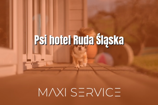 Psi hotel Ruda Śląska - Maxi Service