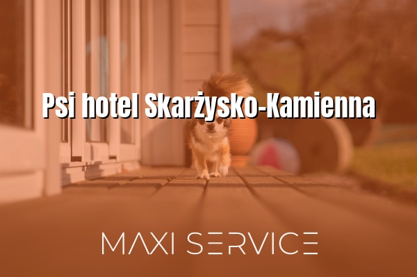 Psi hotel Skarżysko-Kamienna - Maxi Service