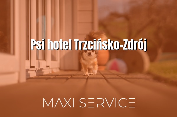 Psi hotel Trzcińsko-Zdrój - Maxi Service