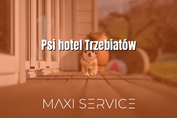 Psi hotel Trzebiatów - Maxi Service