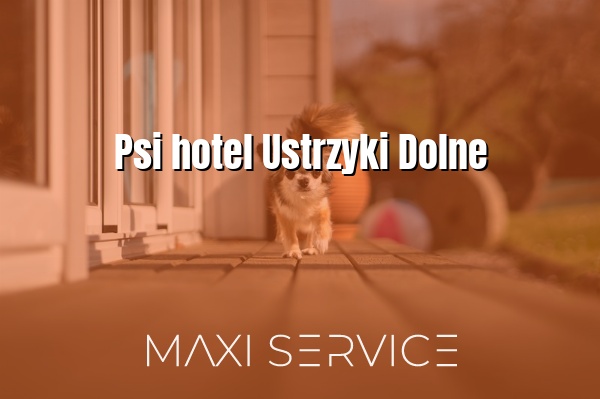 Psi hotel Ustrzyki Dolne - Maxi Service