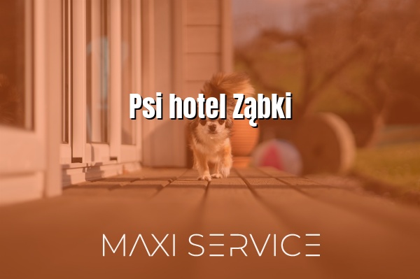 Psi hotel Ząbki - Maxi Service