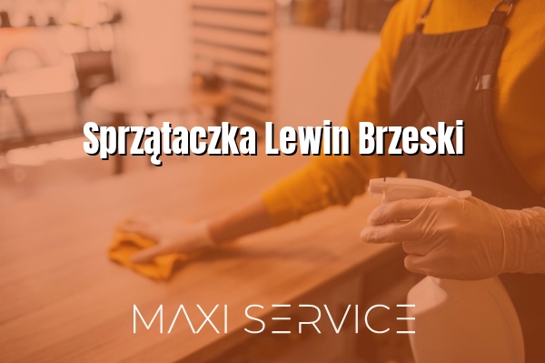 Sprzątaczka Lewin Brzeski - Maxi Service