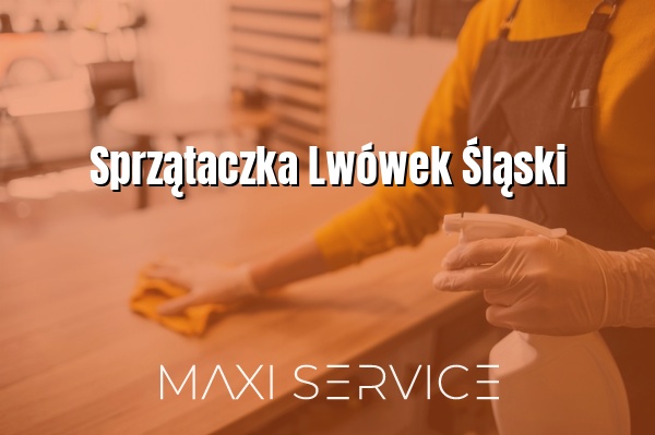 Sprzątaczka Lwówek Śląski - Maxi Service