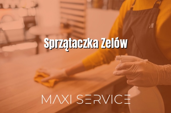 Sprzątaczka Zelów - Maxi Service