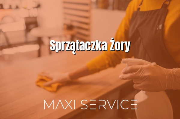 Sprzątaczka Żory - Maxi Service